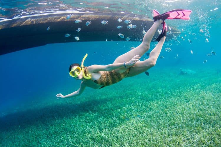 Sol y Mar Snorkel & Beach